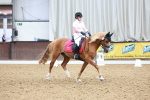 SBM_005861
