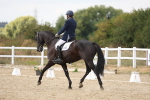 SBM_015616