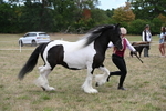 WJ6_5389