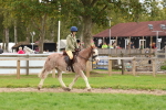 S60 - Mini Show Cob Ridden portfolio
