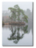 Tarn Hows