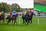 171026-Race 5-Brighton Boy-5966