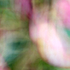 7th June Houtinya Abstract