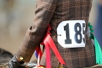 SIAL6261