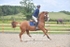BPP_4105