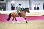 SBM_03621