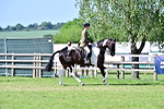 SBM_19493