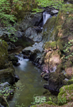 Torrent Walk, spring