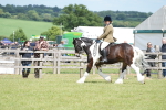 SBM_17286