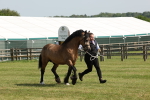 SBM_02299
