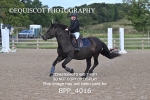 BPP_4016