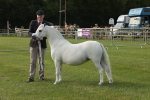 SBM_00533