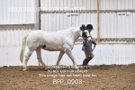 BPP_0908