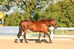 SBM_07953