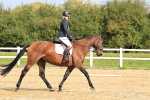 SBM_001546