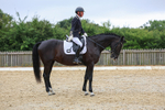 Class 5: Novice 3 2024 Section A portfolio