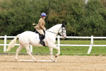 SBM_001413