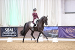 SBM_009288