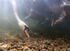 Mute Swans (Cygnus olor) photographed from underwater in the River Avo