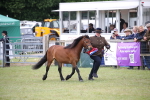 SBM_09739