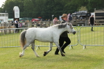 SBM_00522