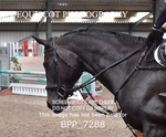 BPP_7288