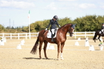 SBM_008841