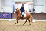 SBM_000965