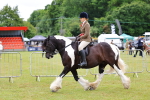 SBM_02658