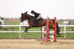 SBM_002358