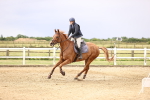SBM_003055
