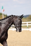 SBM_018690