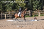 BPP_8017