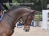 BPP_3215