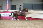 SBM_18733