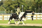 SBM_67595