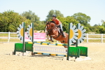 SBM_005987