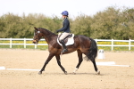 SBM_008033