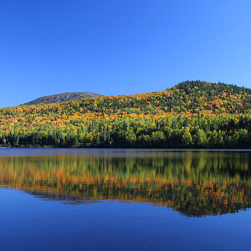 Lake Nictau in Autumn.