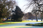 DECEMBER  2014  -8