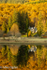 Loch Ard Autumn Refections, 1