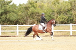 SBM_002746