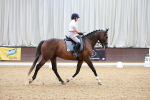 SBM_001013