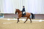 SBM_004158