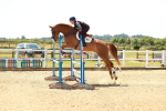 SBM_006494