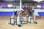 Class 8 - Senior Newcomers - 1.10m portfolio