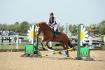 SBM_011709