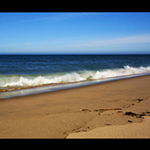 Waves