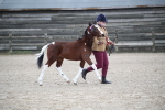 SBM_004590