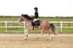 SBM_004173